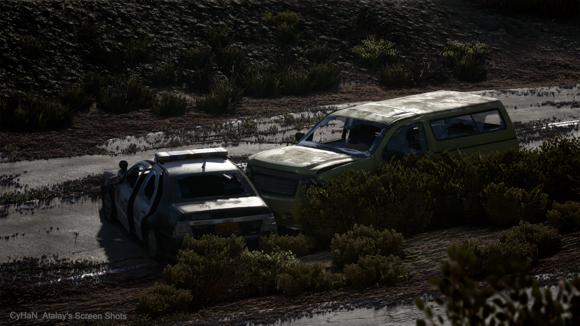 Days Gone Screenshot 2025.07.01 - 14.17.05.08.png