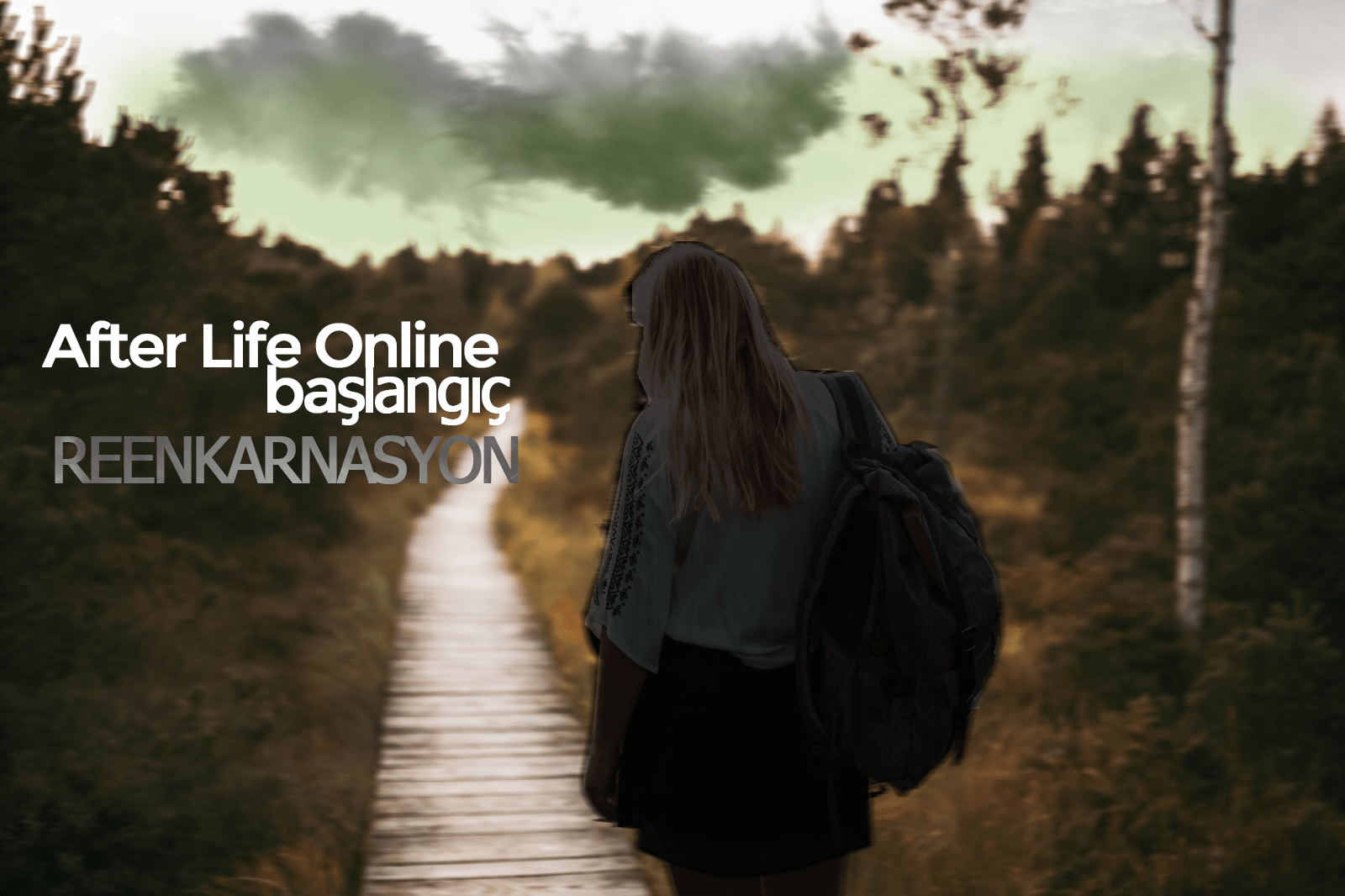 15a5ae40aaaff873738888050309.png