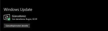 windows.jpg