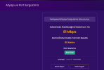 net speed alt yapı sorgulama.png