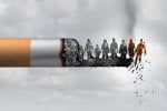 Sigara-Nikotin.jpg