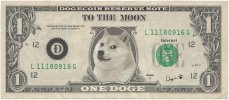 dogecoin-1-dollar.jpg