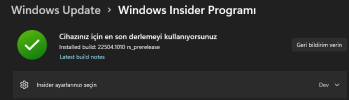 windows insider.png