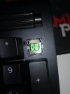 Razer green switch.jpg