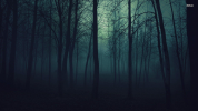 Karanlık Orman Teorisi