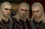 geralt 4.png