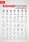 bodyweight-exercises-chart.jpg