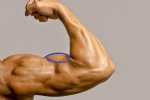 programme-musculation-biceps-gratuit.jpg