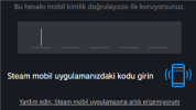 steam yedek kodları.png