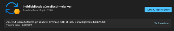 Windows Güncelleme Hatası.png