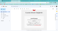 E-posta Adresini Değiştirdin - suleyman.erturk.ofc@gmail.com - Gmail - Google Chrome 1.04.2024...png