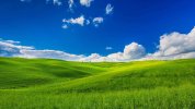 grass-and-sky-background-7uoo0g15plwak33u.jpg