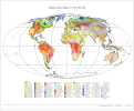 pic-world-soil-map.png