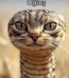 1753278019342.png