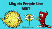 BSD nedir?