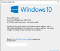 Windows Hakkında 11.03.2021 17_32_13.png