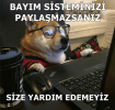 Bayım sisteminizi.png