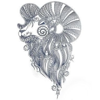 Akim Korumali Priz Onerisi Technopat Sosyal