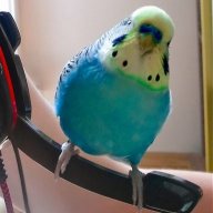 Ömer Faruk Yazıcı