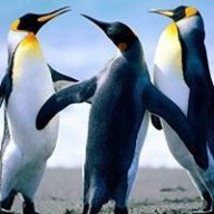 Yağız Ali Atılmış