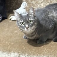 Muhammed Fatih YAVUZ