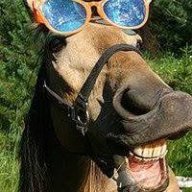 gaçakçıbeygiri_43