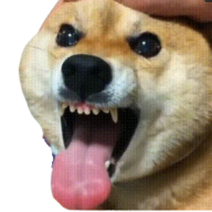 Metehan Berk Asıcı