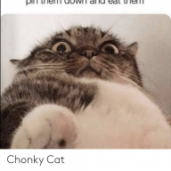 CPT_Chonk