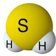 Hidrojen Sülfür H2S