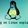 LinuxGamingGamer