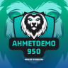 AhmetDemo900
