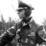 Fight4Freedom