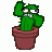 Cactus Man