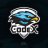 Codex1071