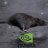 Nvidia Rat Racing