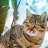 Mustafa_b