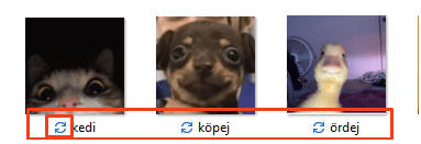 1608286248093.png