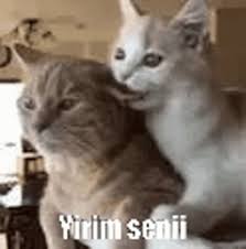 1681244983460-jpeg.1736754