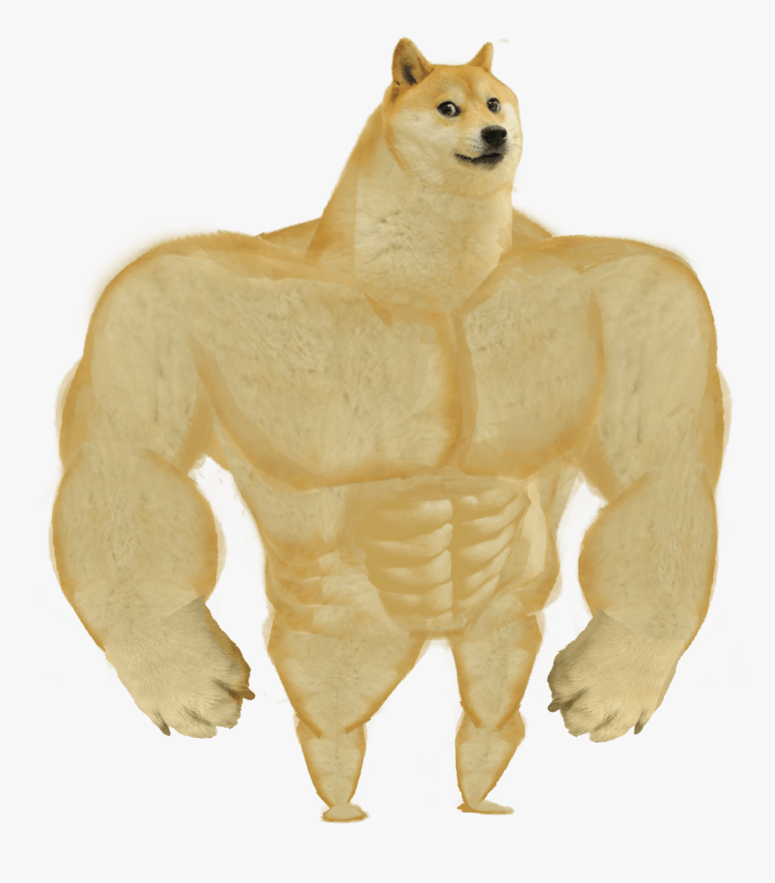 202-2028426_buff-doge-hd-png-download.png
