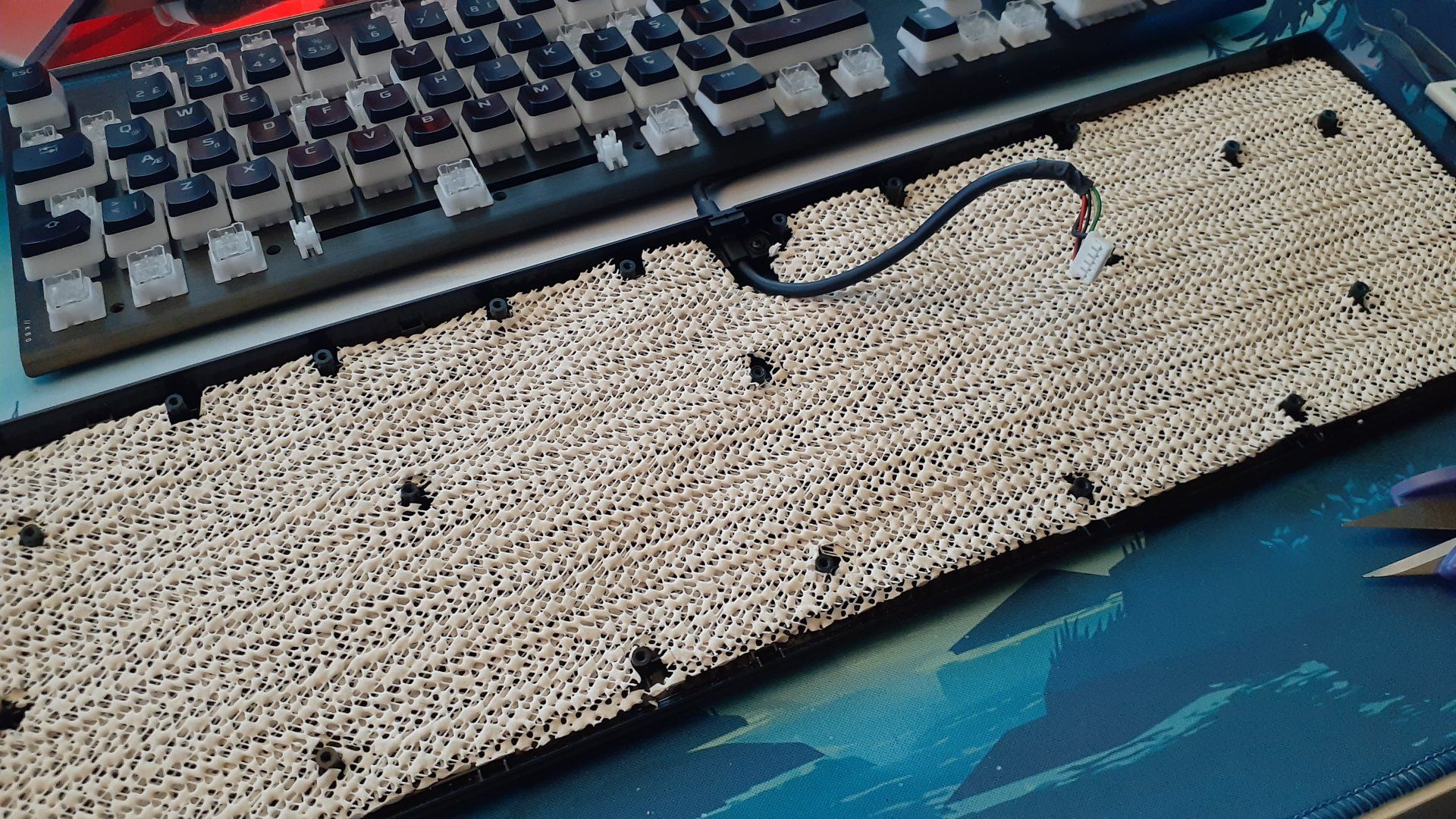 2022-03-13 02.59.35.jpg