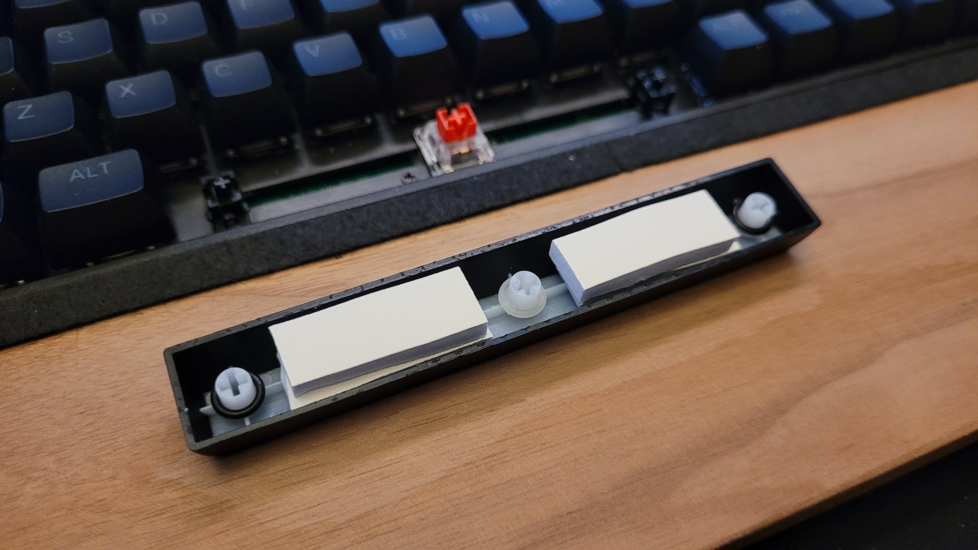 2023-05-08 16.25.36.jpg