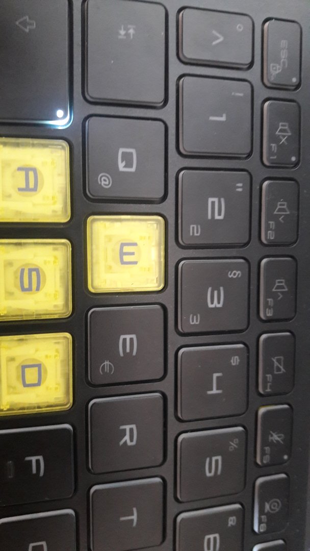 20230420_120526.jpg