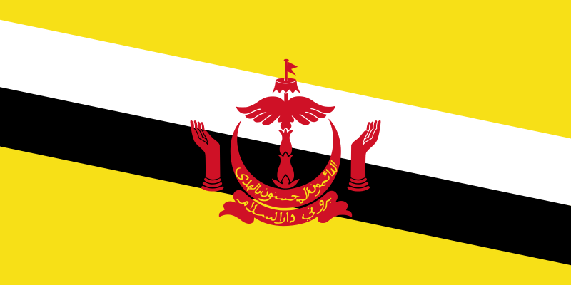800px-Flag_of_Brunei.svg.png