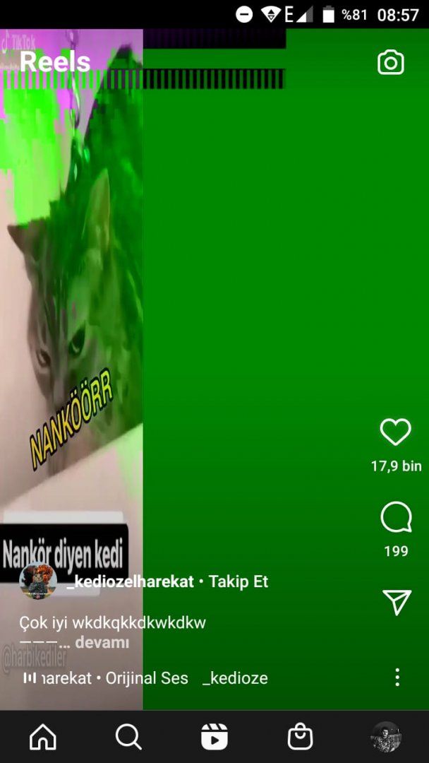 Instagram Reels kısmında ekran yeşil oluyor