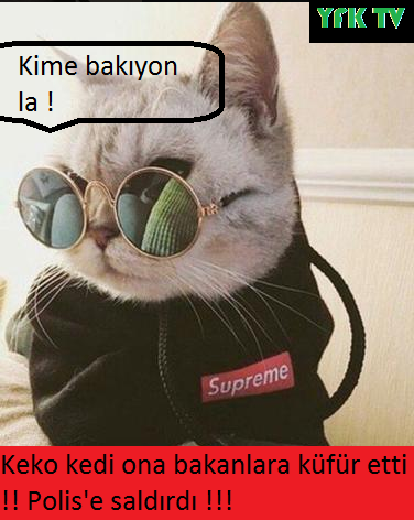 Adsız.png