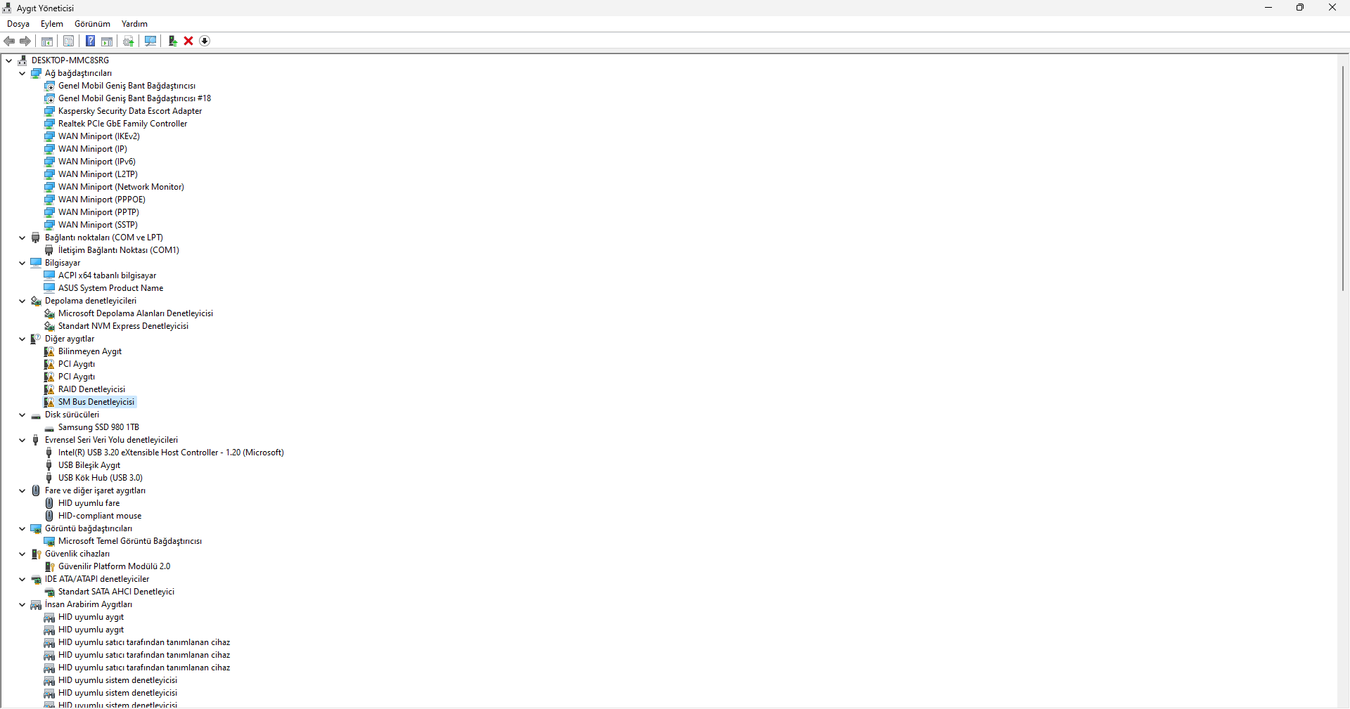 Aygıt Yöneticisi 9.05.2024 21_00_35.png