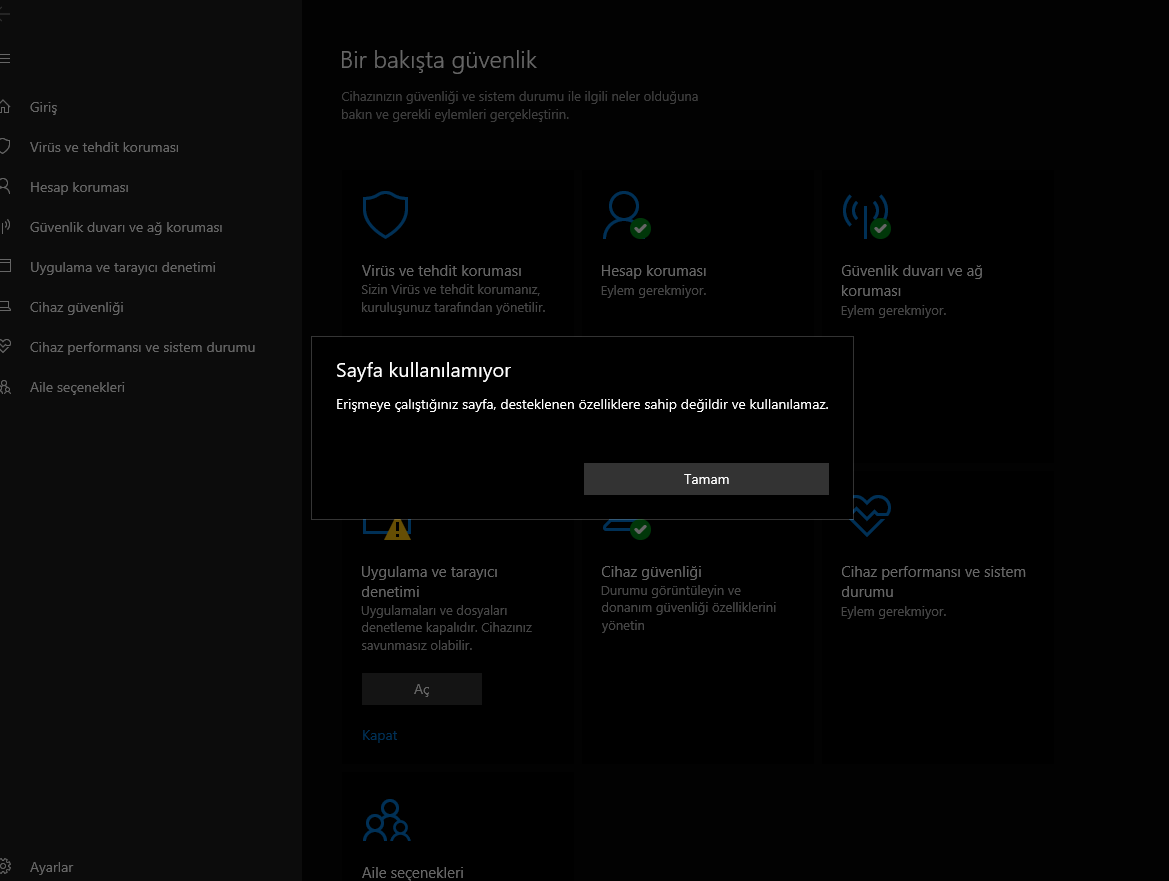 çekirdek yalıtım ss1.PNG
