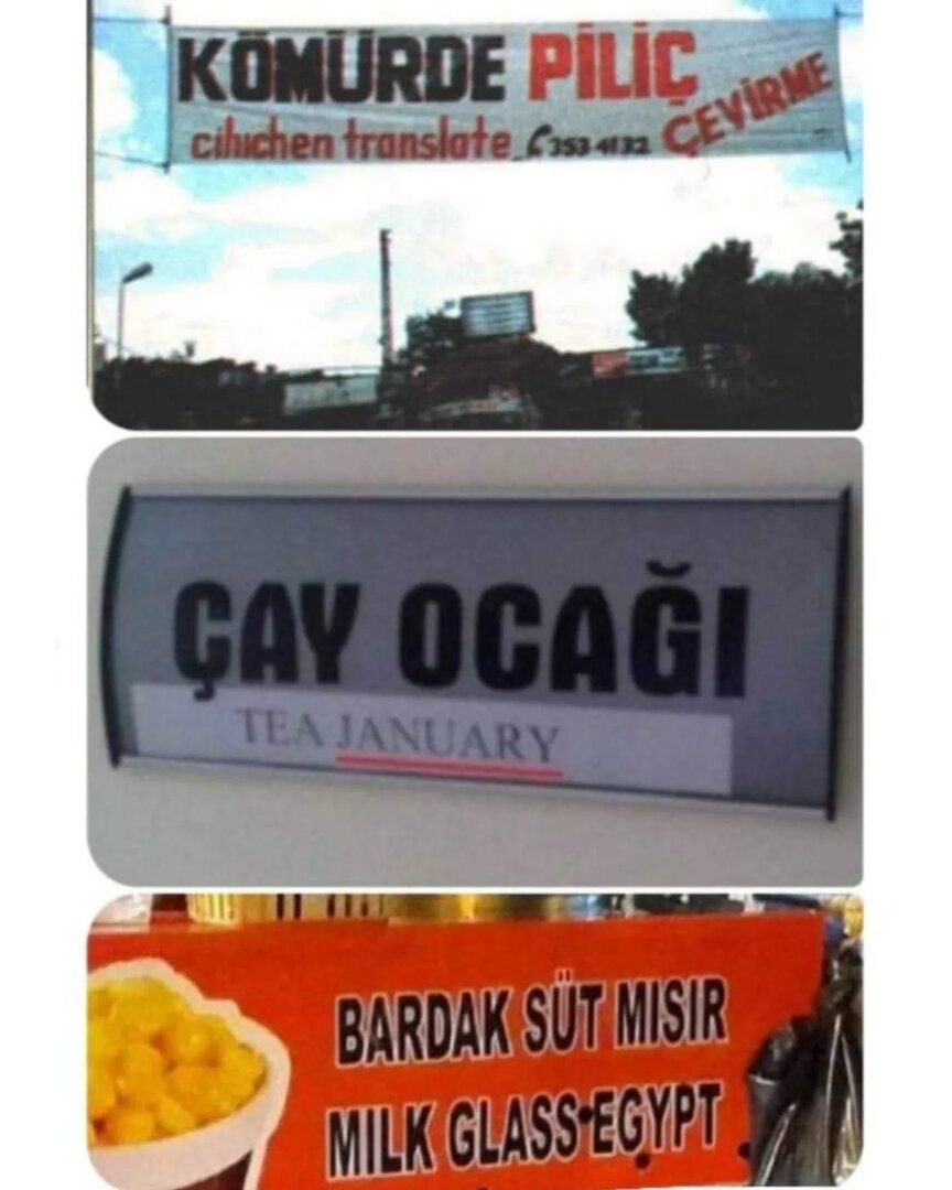 chicken translate set.jpg