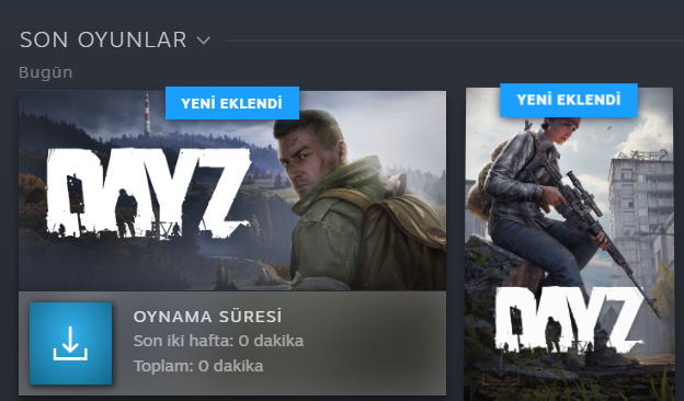 dayz.PNG