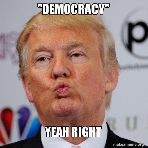 democracy-yeah-right.jpg